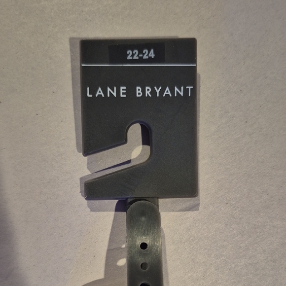 NWT Lane Bryant Brown Belt with Gold Accents - Picture 5 of 6